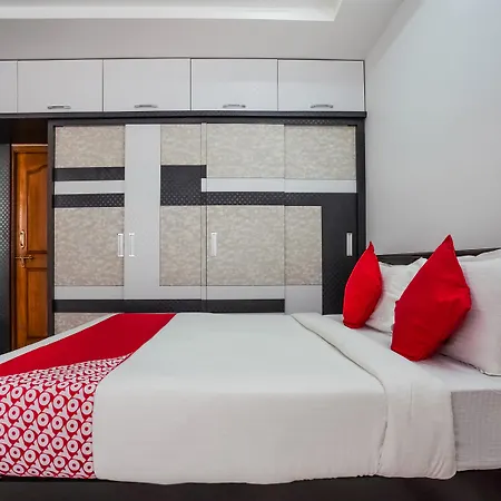 Oyo 13746 Mint Leaves Hotel